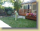 Backyard-Badminton-Jul2010 (90) * 3648 x 2736 * (5.37MB)